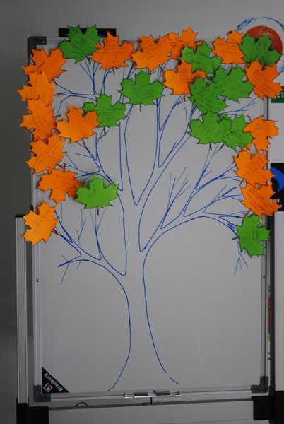 Фото к Все с чистого листа….