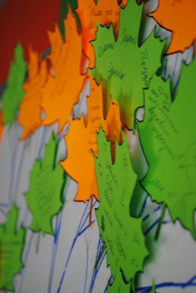 Фото к Все с чистого листа….