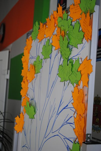 Фото к Все с чистого листа….