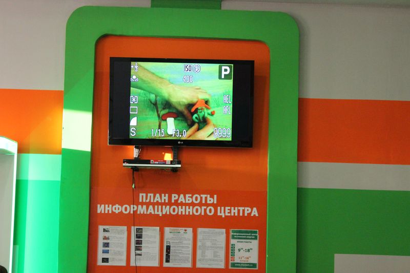 Фото к Сказка своими руками.