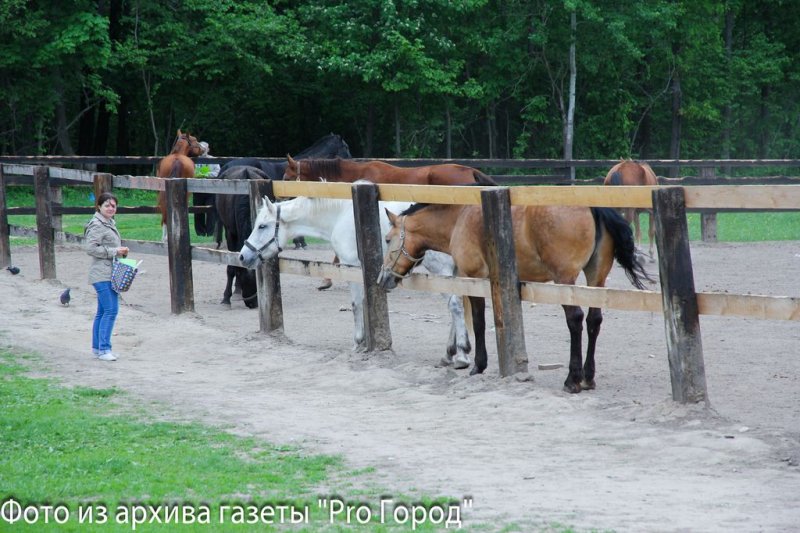 Фото к Участники атомного велопробега во Владимире убедились: уровень радиации в городе — в норме.