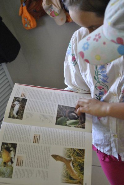 Фото к Каникулы владимирские школьники проводят в информационном центре по атомной энергии.