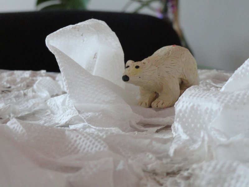 Фото к Подведены итоги федерального этапа Всероссийского конкурса творческих работ «Мой атом»