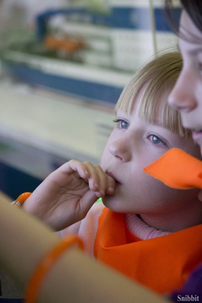 Фото к Каникулы в ИЦАО: интересно и познавательно!