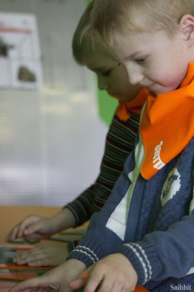 Фото к Каникулы в ИЦАО: интересно и познавательно!