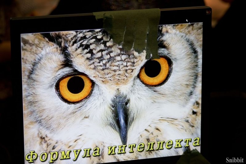 Фото к Во Владимирской области прошел региональный этап Всероссийского чемпионата по интеллектуальным играм для школьников «Формула интеллекта»