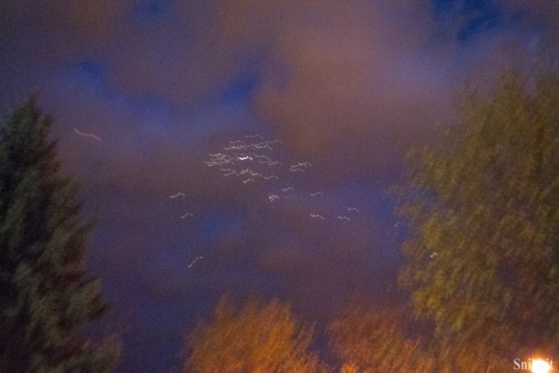 Фото к «Перевод времени»: владимирский информационный центр по атомной энергии принял участие во Всероссийской акции «Библионочь»