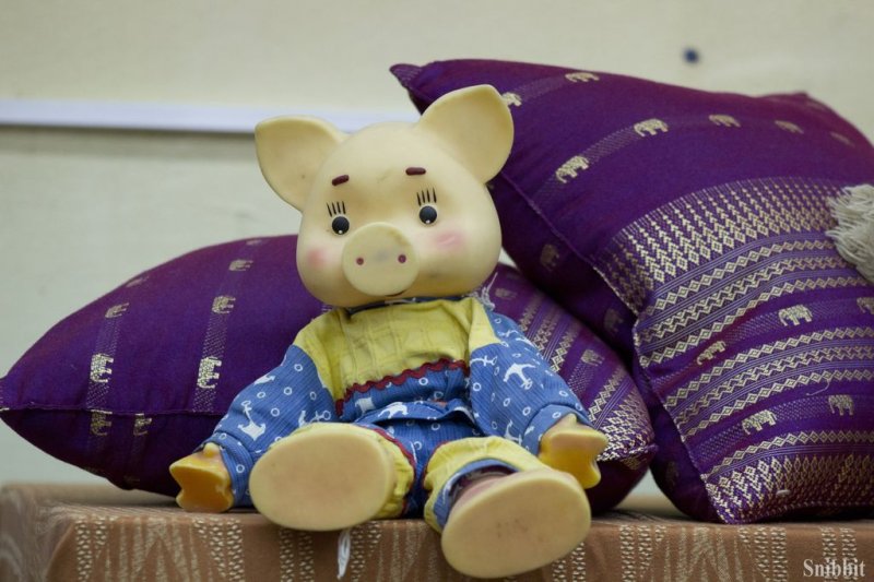 Фото к «Перевод времени»: владимирский информационный центр по атомной энергии принял участие во Всероссийской акции «Библионочь»