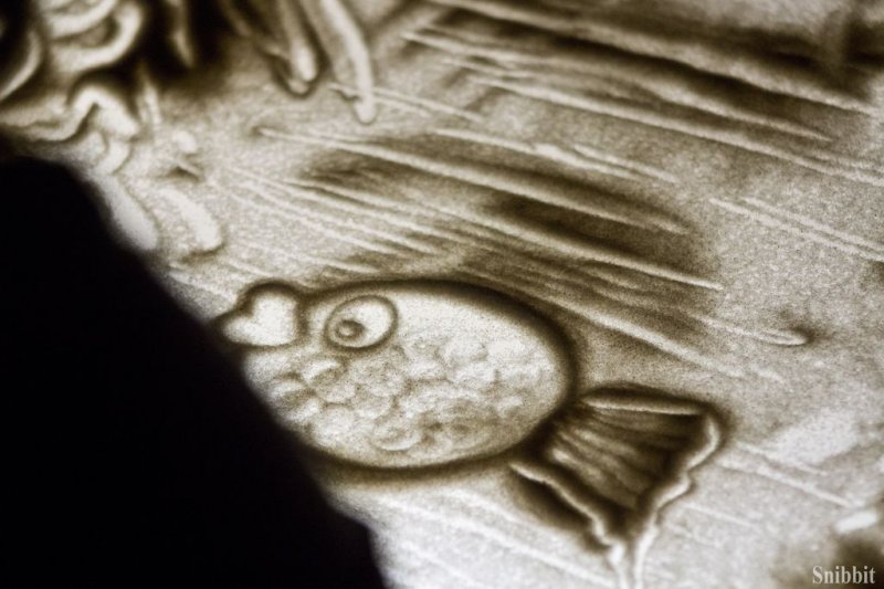 Фото к «Перевод времени»: владимирский информационный центр по атомной энергии принял участие во Всероссийской акции «Библионочь»