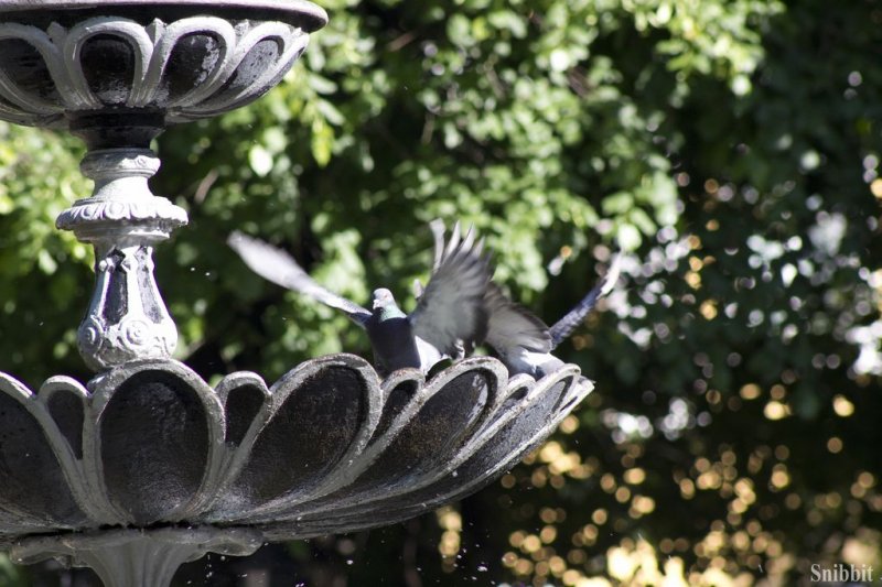 Фото к Во Владимире прошел детский книжный фестиваль «Бу!Фест» на открытом воздухе