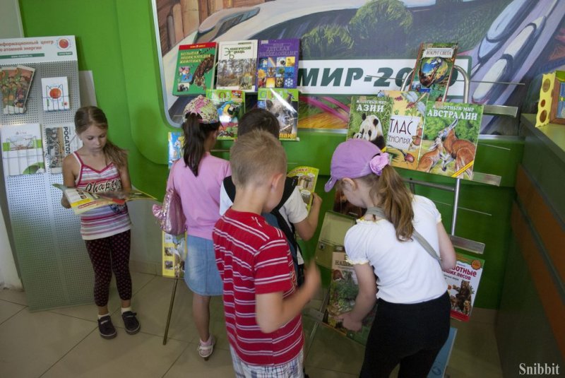 Фото к Во владимирском информационном центре по атомной энергии стартовал проект «Атомный лагерь»