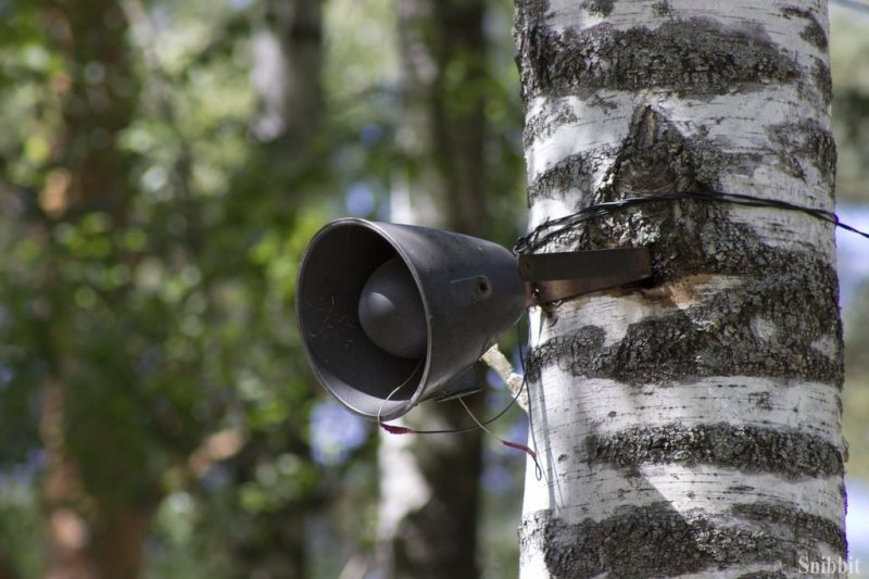 Фото к Проект «Атомный лагерь»: лето, солнце, дети