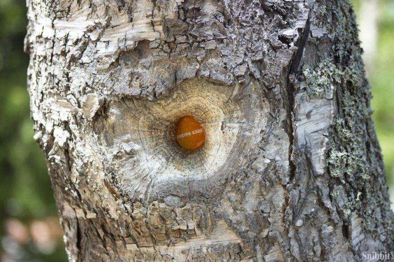 Фото к Проект «Атомный лагерь»: лето, солнце, дети