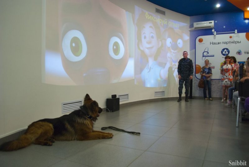 Фото к Проект «ФИКСИруй опыт»: владимирские школьники научились понимать «язык» служебных собак