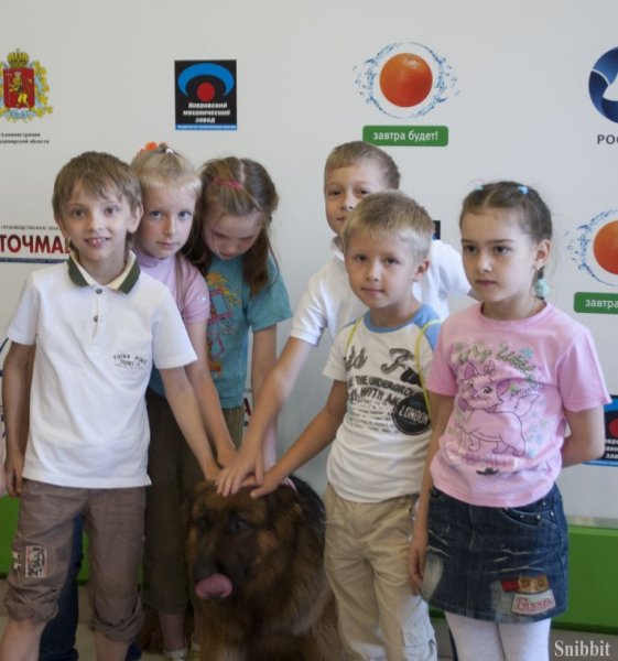 Фото к Проект «ФИКСИруй опыт»: владимирские школьники научились понимать «язык» служебных собак