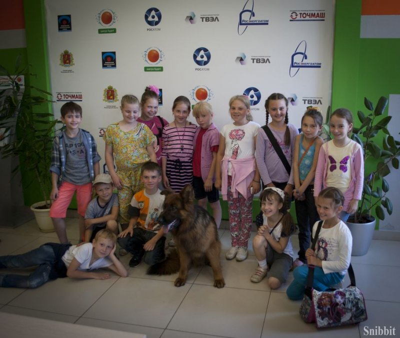 Фото к Проект «ФИКСИруй опыт»: владимирские школьники научились понимать «язык» служебных собак