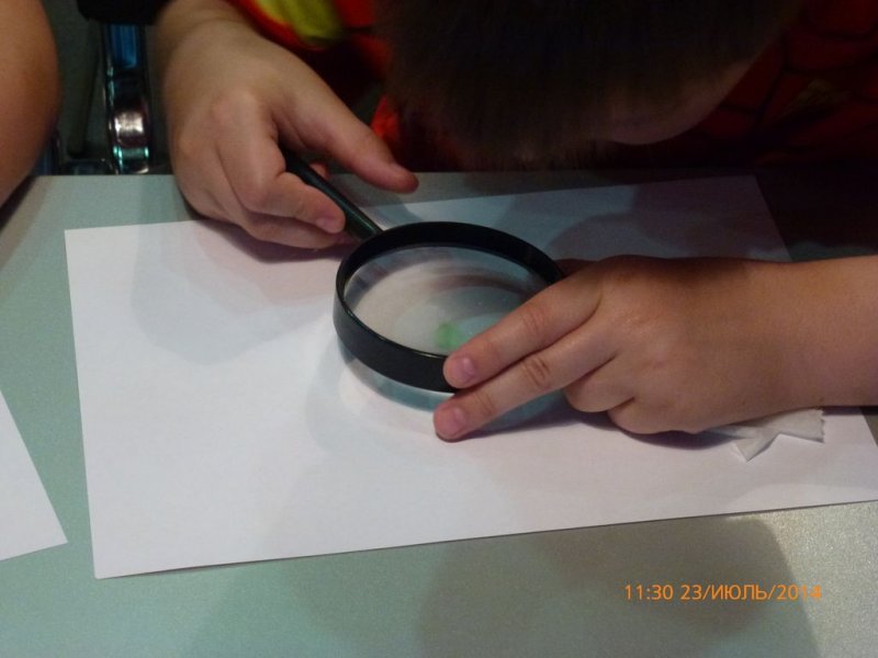 Фото к Владимирские школьники заФИКСИровали отпечатки пальцев в информационном центре по атомной энергии