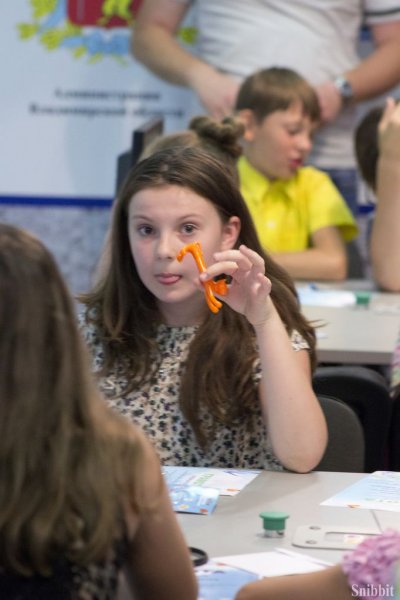 Фото к Взгляд из другого измерения: во Владимира завершилась летняя сессия проекта «Юные исследователи»