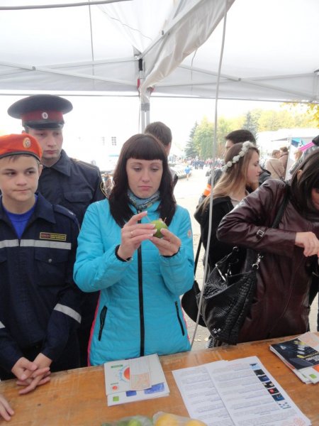 Фото к Около тысячи владимирцев приняли участие в «Научном марафоне» ИЦАЭ г. Владимира на «ДоброСаммите»