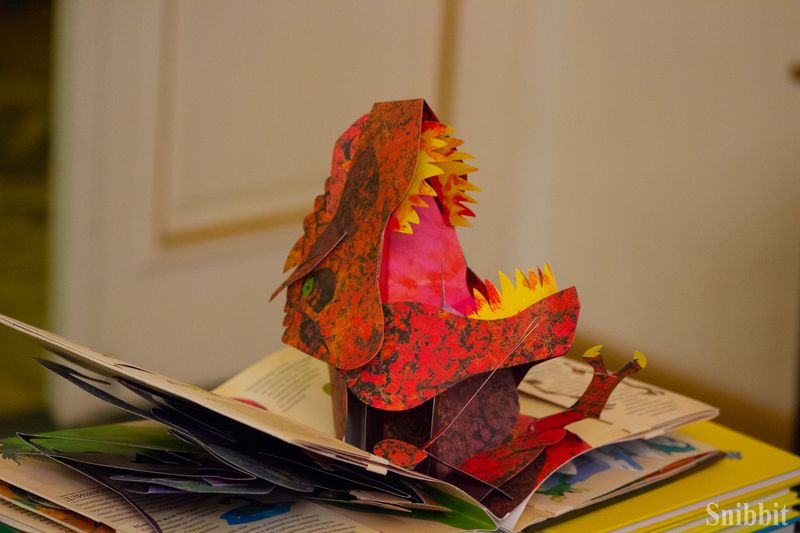 Фото к Наука — это интересно: во Владимире прошел научный книжный фестиваль «Бу!Фест»