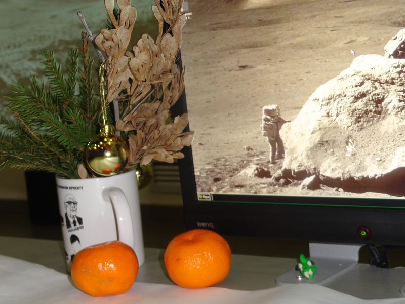 Фото к Сказочные персонажи глазами науки: школьники разоблачили Бабу-Ягу и Василису Премудрую