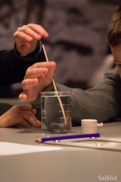 Фото к Эксперименты с альтернативными источниками энергии и радуга своими руками: в ИЦАЭ Владимира прошёл День российской науки