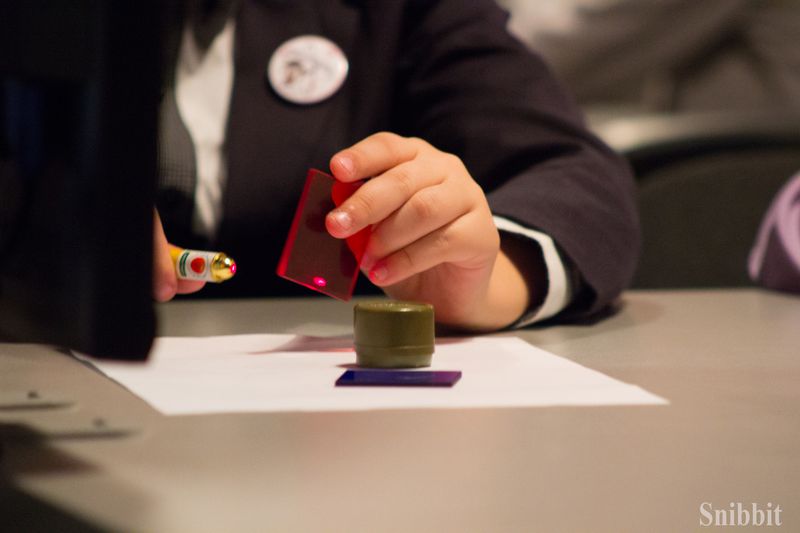 Фото к Эксперименты с альтернативными источниками энергии и радуга своими руками: в ИЦАЭ Владимира прошёл День российской науки