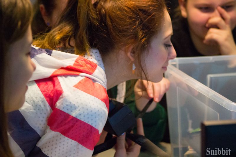 Фото к Эксперименты с альтернативными источниками энергии и радуга своими руками: в ИЦАЭ Владимира прошёл День российской науки