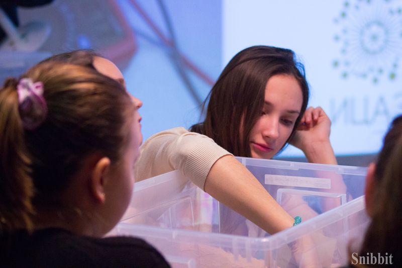 Фото к Эксперименты с альтернативными источниками энергии и радуга своими руками: в ИЦАЭ Владимира прошёл День российской науки