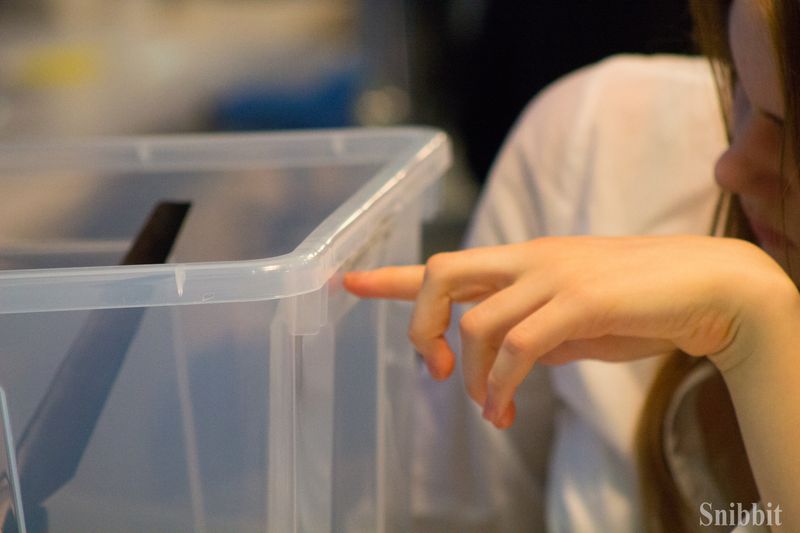 Фото к Эксперименты с альтернативными источниками энергии и радуга своими руками: в ИЦАЭ Владимира прошёл День российской науки