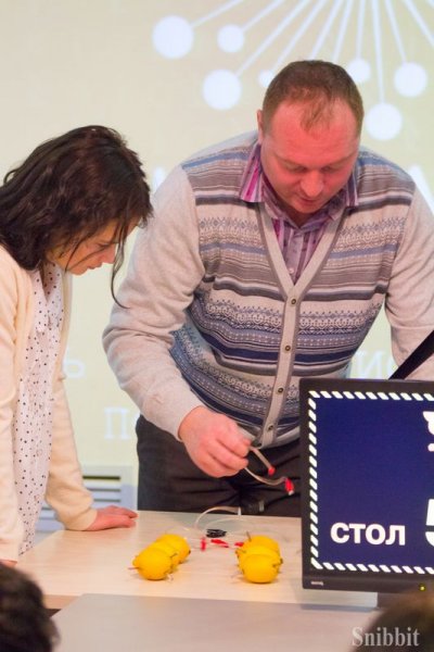 Фото к От фруктовой батарейки до энергии Солнца и ветра: в ИЦАЭ Владимира завершилась Неделя высоких технологий