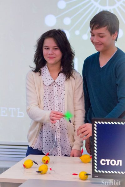 Фото к От фруктовой батарейки до энергии Солнца и ветра: в ИЦАЭ Владимира завершилась Неделя высоких технологий