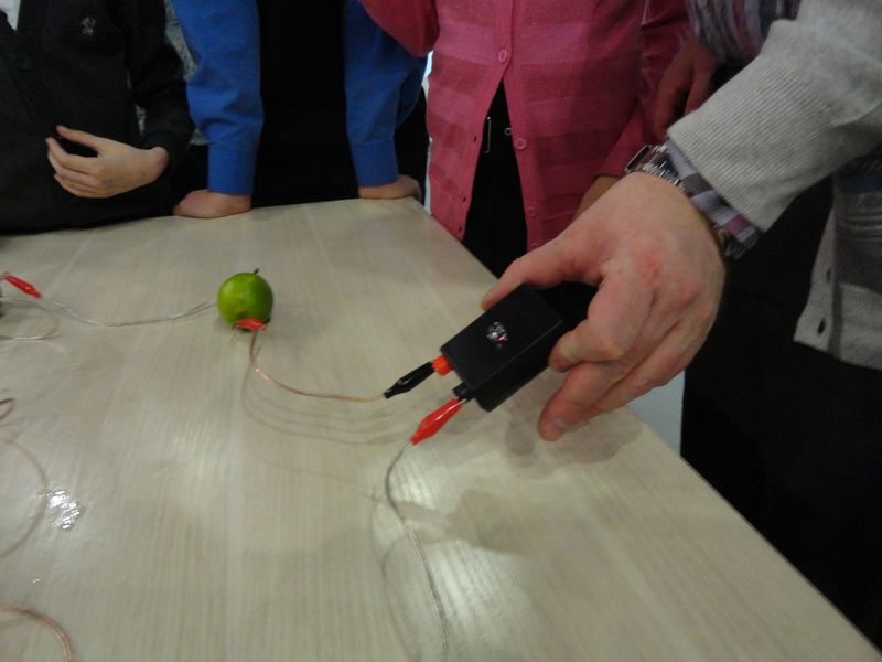 Фото к От фруктовой батарейки до энергии Солнца и ветра: в ИЦАЭ Владимира завершилась Неделя высоких технологий