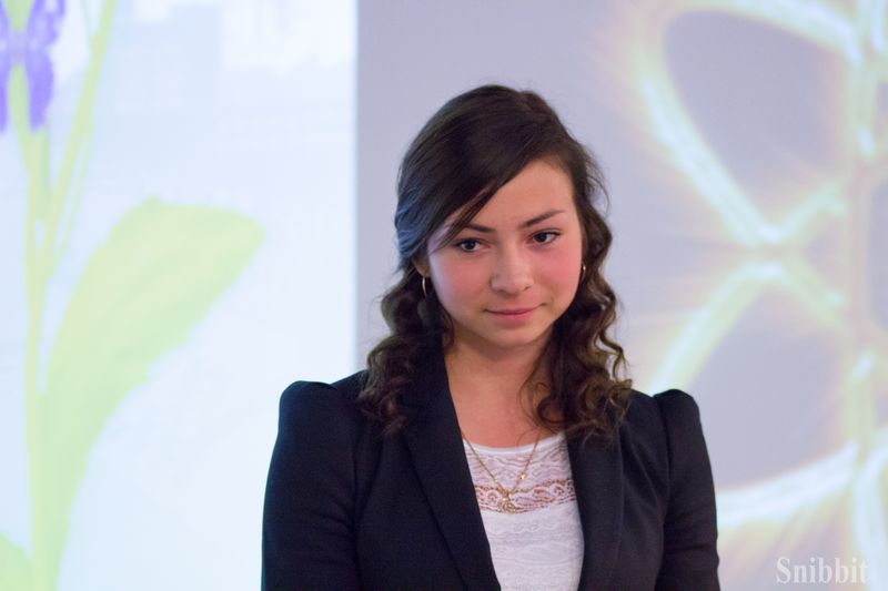 Фото к Во Владимире завершился региональный этап Всероссийского конкурса реферативных и исследовательских работ «Атомная наука и техника — 2015»