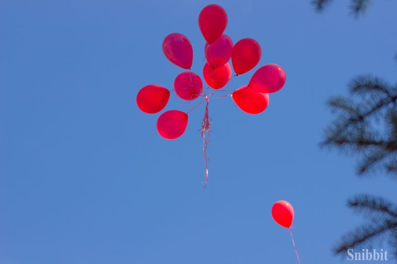 Фото к «Пока память жива»: на «Точмаше» прошел митинг, приуроченный к Дню Победы