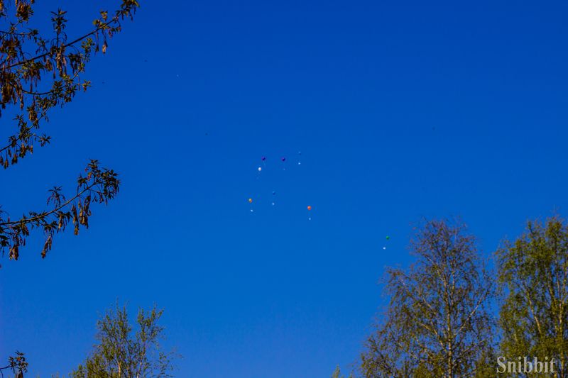 Фото к «И нам на всех нужна одна победа…"