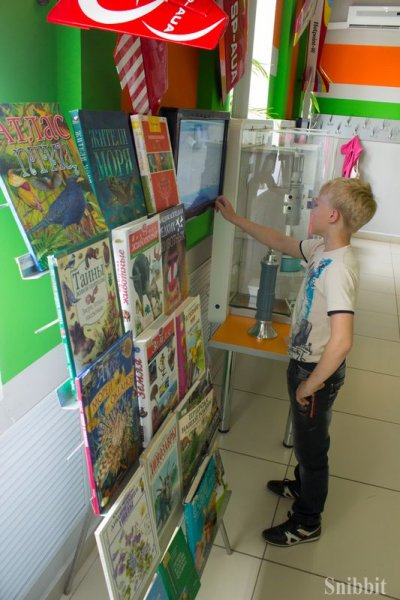 Фото к Во Владимире стартовал просветительский проект «Экологический марафон»