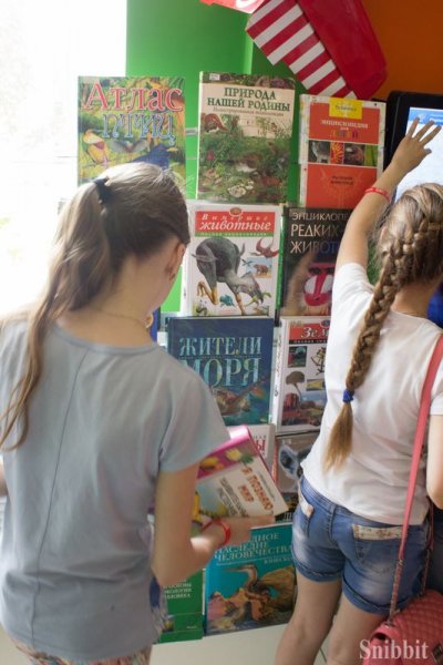 Фото к Во Владимире стартовал просветительский проект «Экологический марафон»