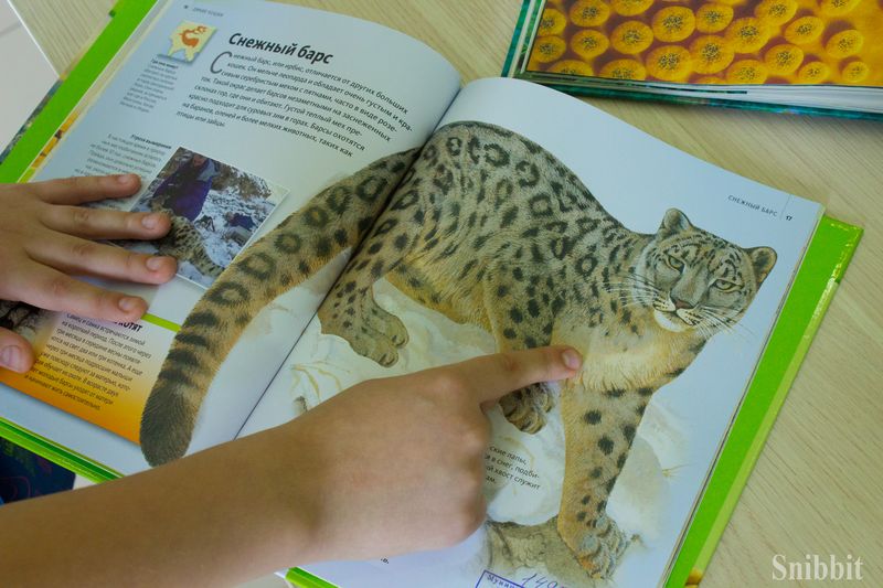 Фото к Во Владимире стартовал просветительский проект «Экологический марафон»