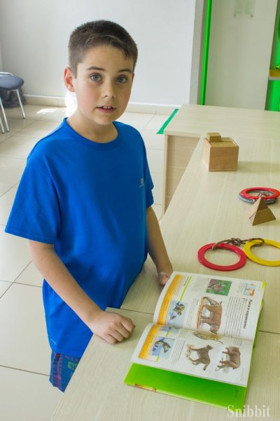 Фото к Во Владимире стартовал просветительский проект «Экологический марафон»