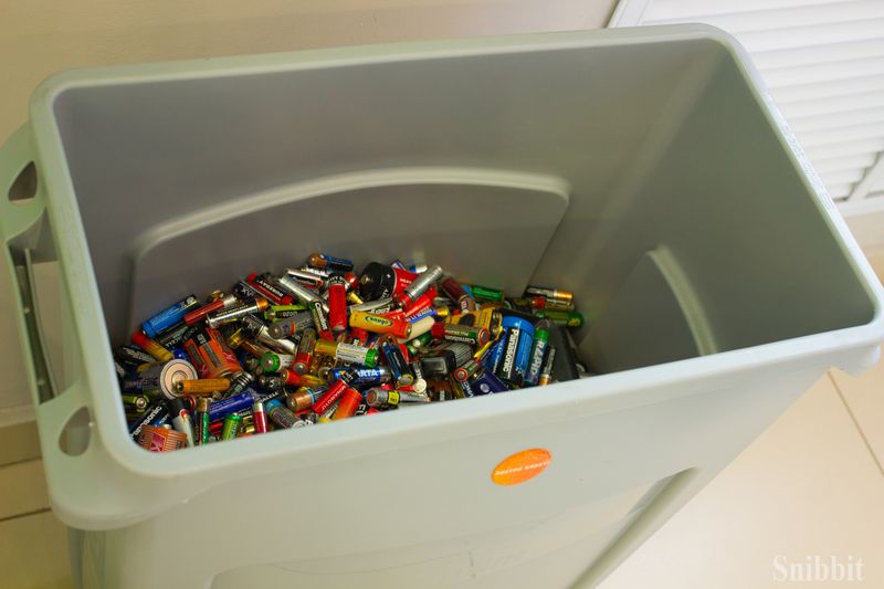 Фото к «Экомарафон» в ИЦАЭ Владимира: встреча с экологом-общественником и сбор батареек