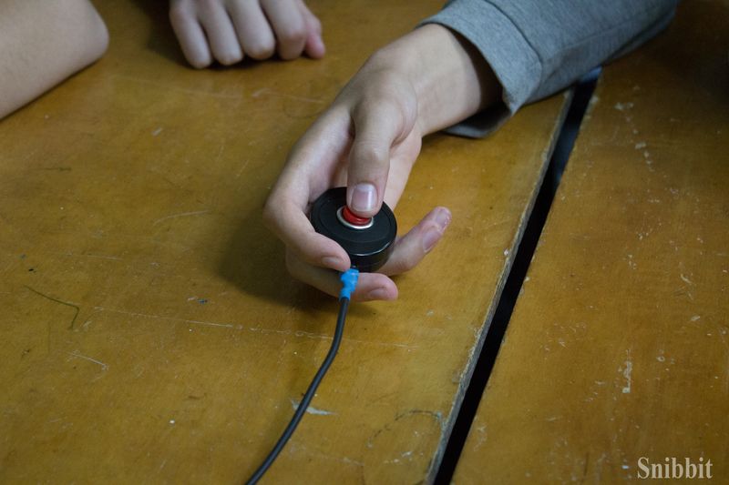 Фото к «Экологический марафон» в «Икаре»: командная «Своя игра» и квест