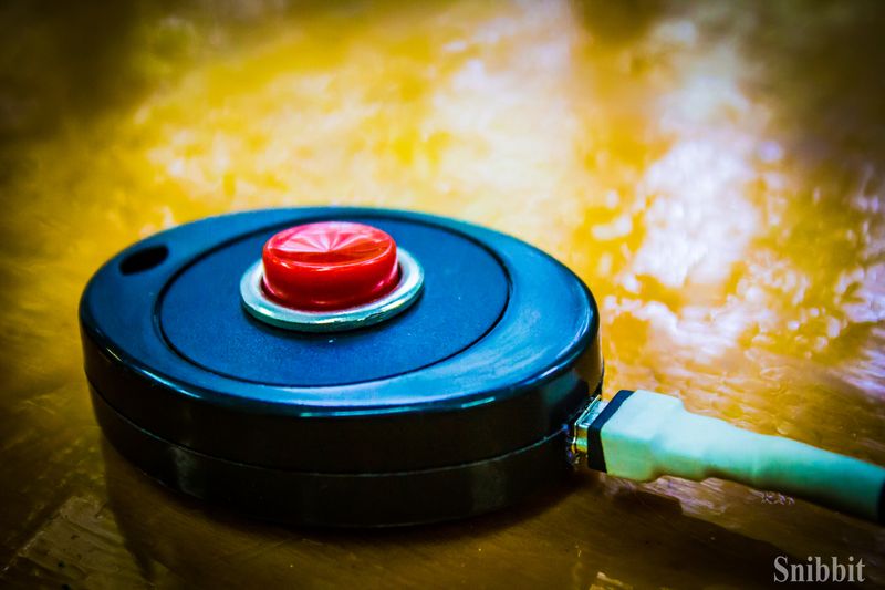 Фото к Проверено — радиации нет: в «Икаре» прошёл экологический квест