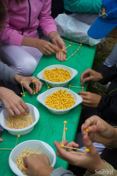 Фото к Проверено — радиации нет: в «Икаре» прошёл экологический квест