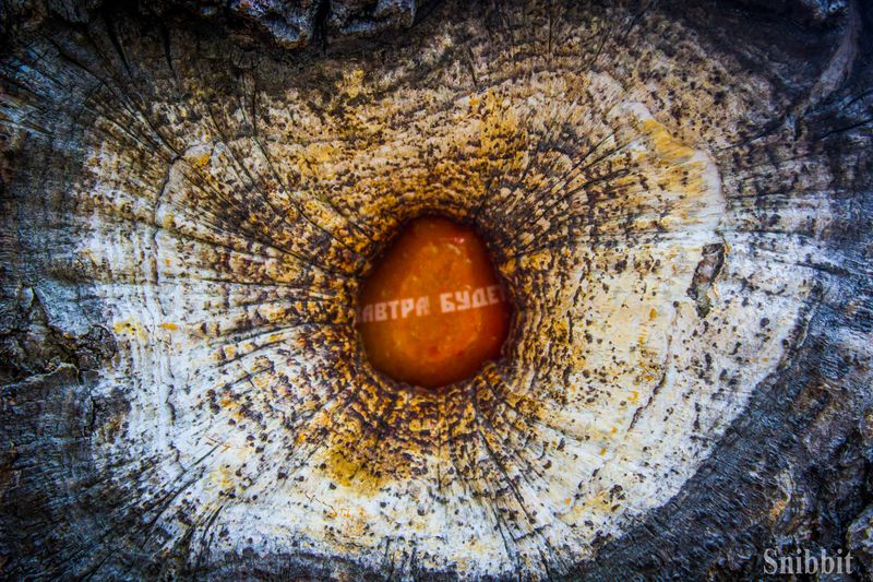 Фото к Проверено — радиации нет: в «Икаре» прошёл экологический квест