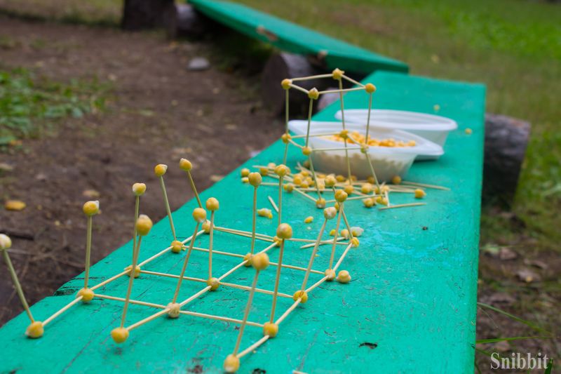 Фото к Проверено — радиации нет: в «Икаре» прошёл экологический квест