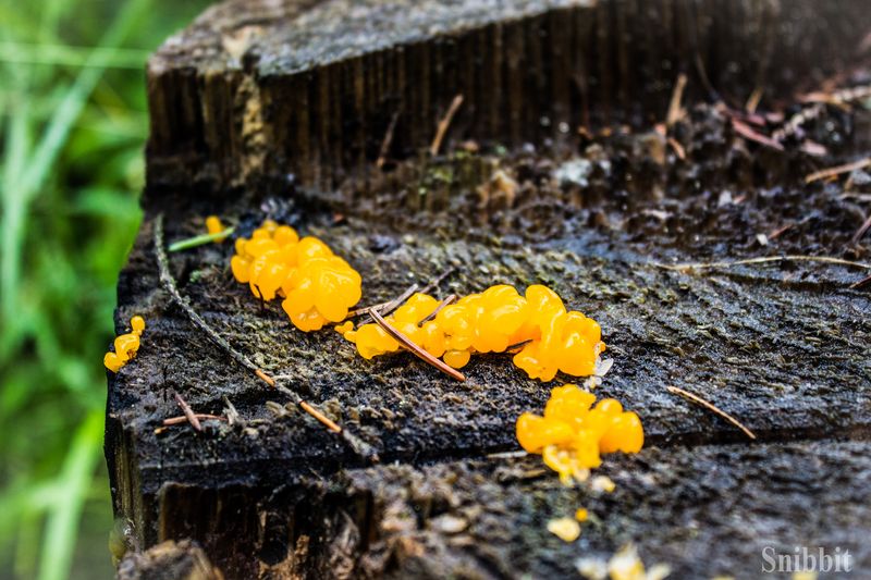 Фото к «Атомный ликбез»: на Летней школе «Русского репортера» прошел День ИЦАЭ