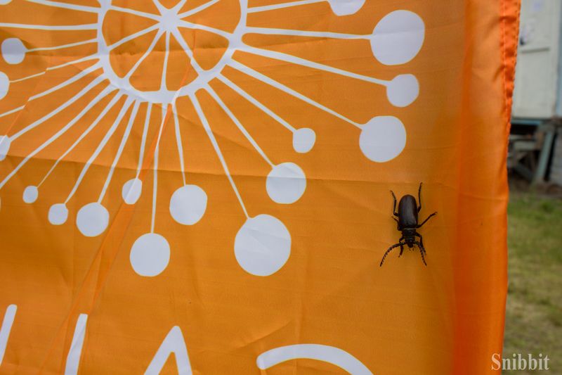 Фото к «Атомный ликбез»: на Летней школе «Русского репортера» прошел День ИЦАЭ