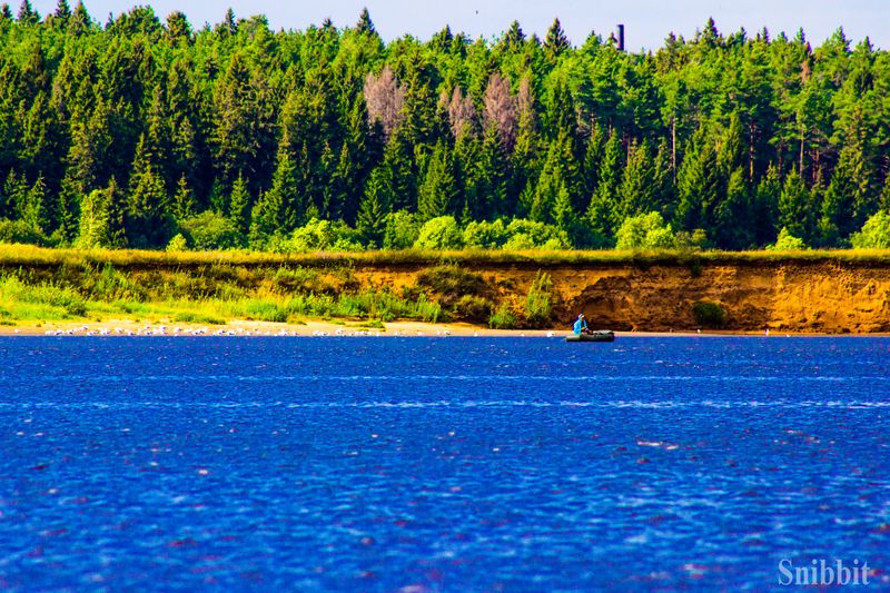 Фото к «Атомный ликбез»: на Летней школе «Русского репортера» прошел День ИЦАЭ