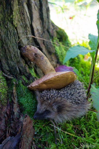 Фото к «Атомный ликбез»: на Летней школе «Русского репортера» прошел День ИЦАЭ